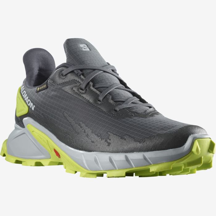 Salomon ALPHACROSS 4 GORE-TEX Muške Tenisice Za Trčanje Plave Svijetlo Zelene | hOwRJC57