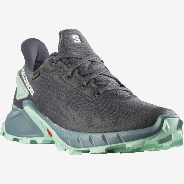 Salomon ALPHACROSS 4 GORE-TEX Ženske Tenisice Za Trčanje Ebony / Trellis / Yucca | MLCOj8FY