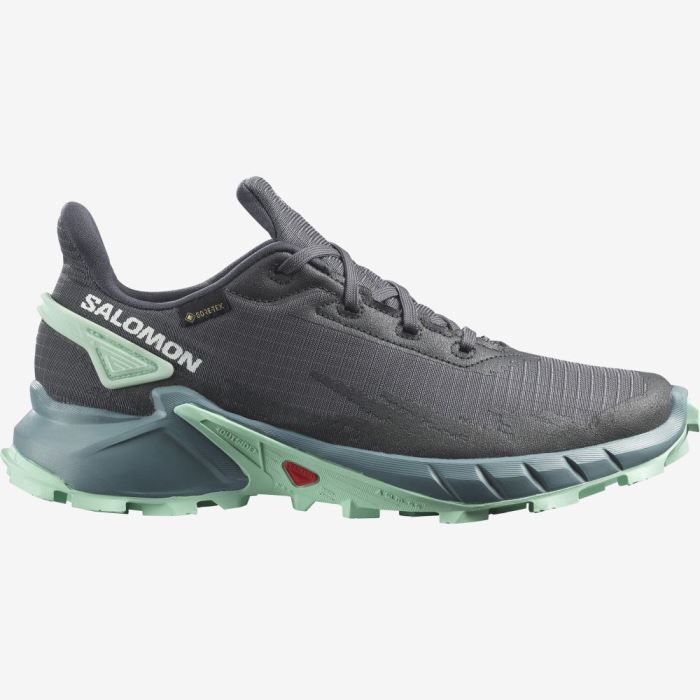 Salomon ALPHACROSS 4 GORE-TEX Ženske Tenisice Za Trčanje Ebony / Trellis / Yucca | MLCOj8FY