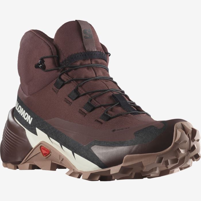 Salomon CROSS HIKE 2 MID GORE-TEX Ženske Cipele Za Planinarenje Čokoladne | 0xG0jiKV