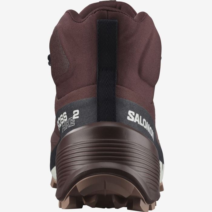 Salomon CROSS HIKE 2 MID GORE-TEX Ženske Cipele Za Planinarenje Čokoladne | 0xG0jiKV