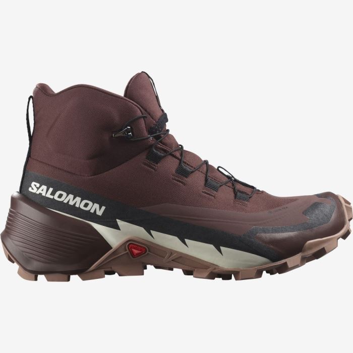 Salomon CROSS HIKE 2 MID GORE-TEX Ženske Cipele Za Planinarenje Čokoladne | 0xG0jiKV