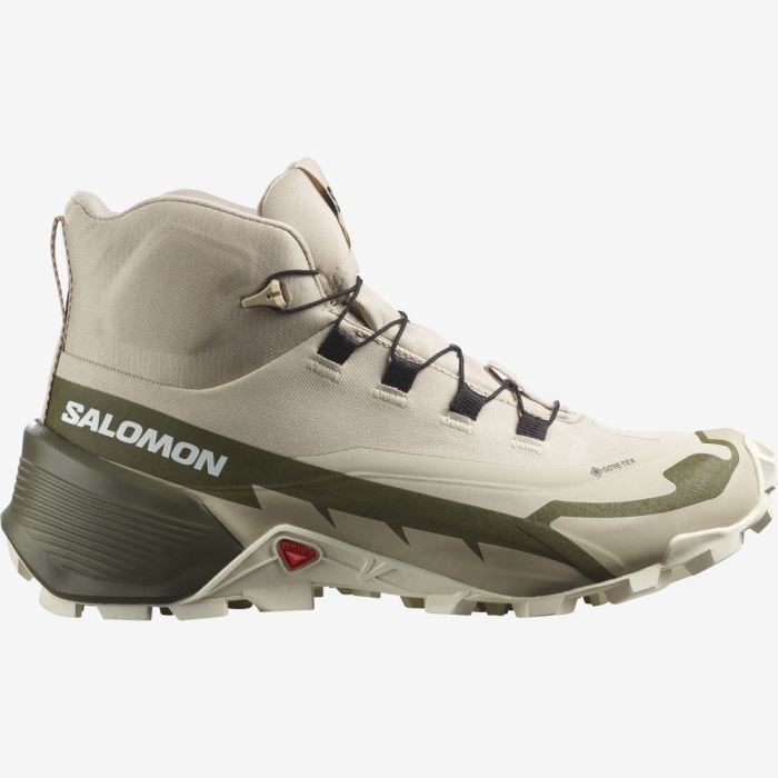 Salomon CROSS HIKE 2 MID GORE-TEX Ženske Cipele Za Planinarenje Sive Maslinasto Zelene Bijele | ohQEtq2Z