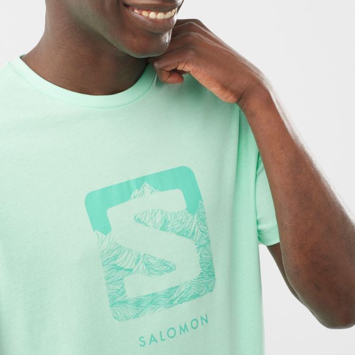 Salomon OUTLIFE LOGO Muške Majice Beach Glass | 8AiS42lQ