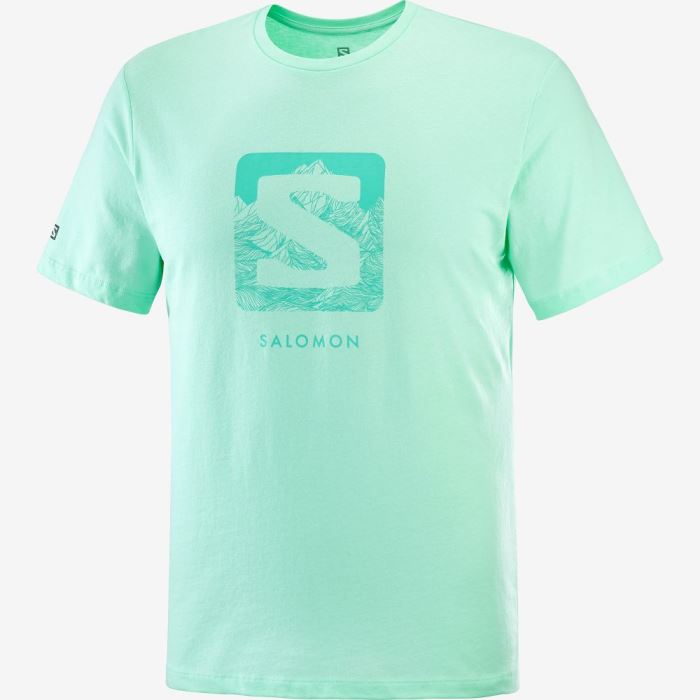 Salomon OUTLIFE LOGO Muške Majice Beach Glass | 8AiS42lQ