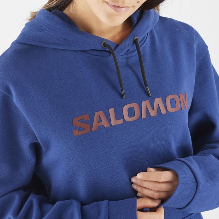 Salomon OUTLIFE LOGO WINTER Muške Midlayers Tamnoplave Smeđe | RkwuPqWd