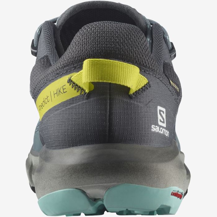 Salomon PREDICT HIKE GORE-TEX Ženske Cipele Za Planinarenje Smeđe Tirkizne | xaJCImjN