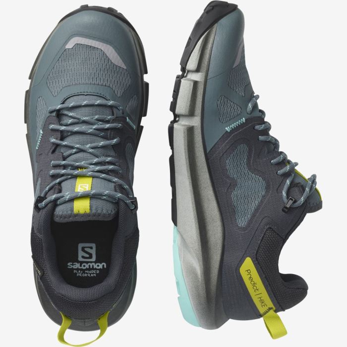 Salomon PREDICT HIKE GORE-TEX Ženske Cipele Za Planinarenje Smeđe Tirkizne | xaJCImjN