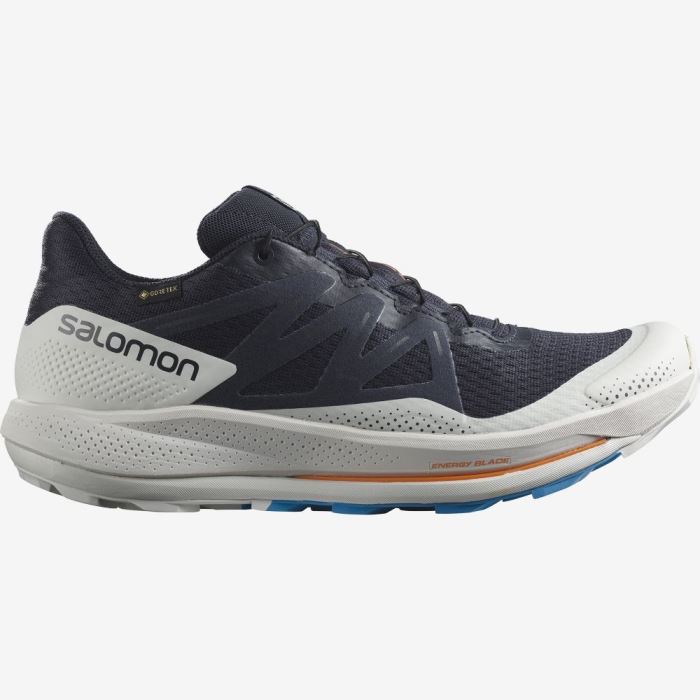 Salomon PULSAR TRAIL GORE-TEX Muške Tenisice Za Trčanje Indigo | tud7PEE8