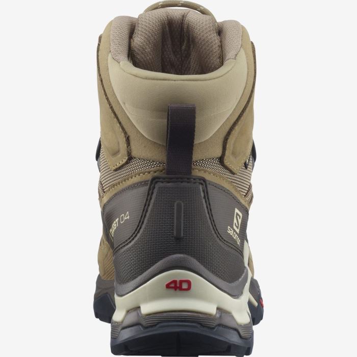 Salomon QUEST 4 GORE-TEX Muške Cipele Za Planinarenje Kelp / Wren / Bleached Sand | 63n078so