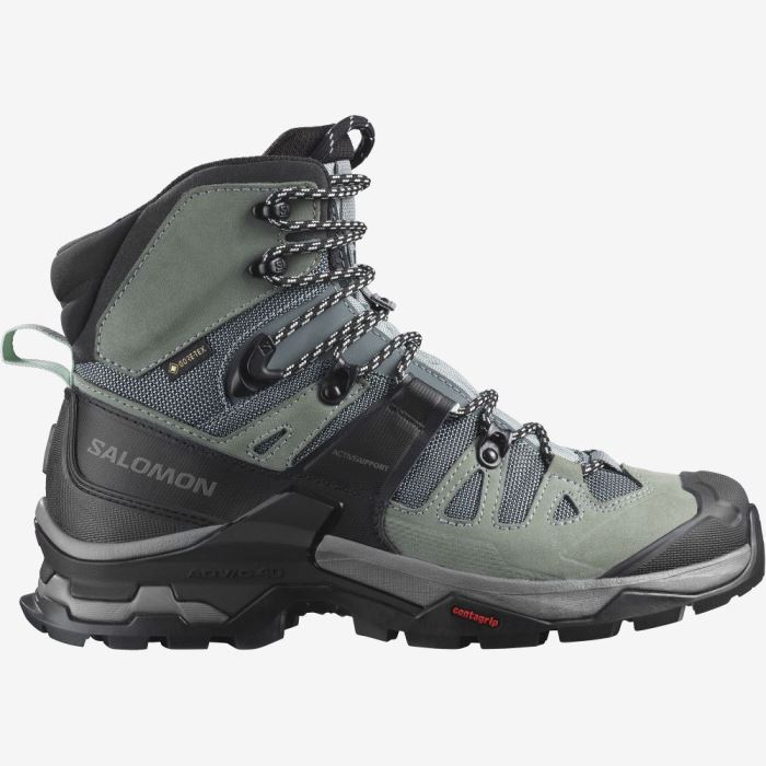 Salomon QUEST 4 GORE-TEX Ženske Cipele Za Planinarenje Plave | LynxEYn1