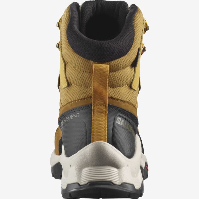 Salomon QUEST ELEMENT GORE-TEX Muške Cipele Za Planinarenje Cumin / Bleached Sand / Saffron | KUuxjPZB