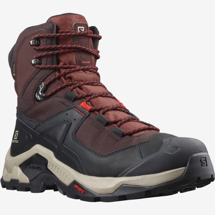 Salomon QUEST ELEMENT GORE-TEX Muške Cipele Za Planinarenje Čokoladne Ljubičaste Smeđe | MxDc5c3l