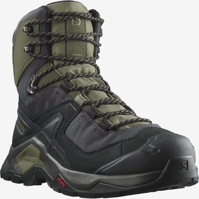 Salomon QUEST ELEMENT GORE-TEX Muške Cipele Za Planinarenje Crne Tamno Zelene Maslinasto Zelene | dNeAbbJT