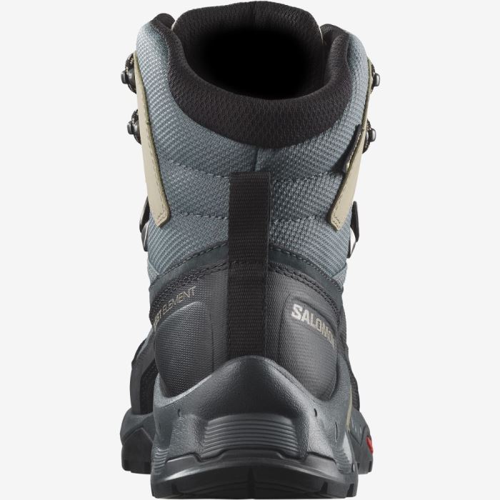 Salomon QUEST ELEMENT GORE-TEX Ženske Cipele Za Planinarenje Ebony / Rainy Day / Stormy Weather | a7xFK8UX