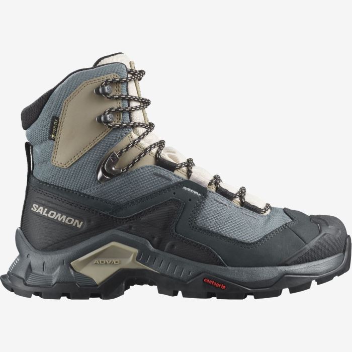 Salomon QUEST ELEMENT GORE-TEX Ženske Cipele Za Planinarenje Ebony / Rainy Day / Stormy Weather | a7xFK8UX