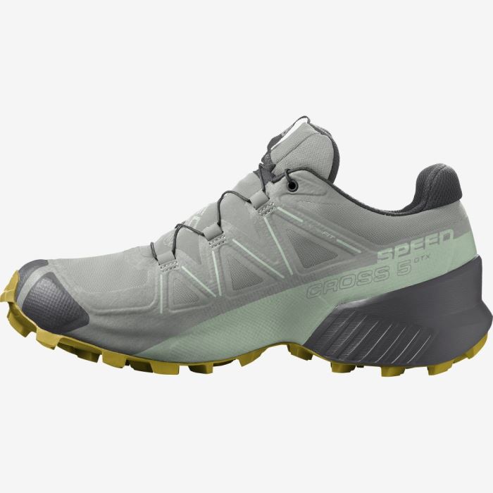 Salomon SPEEDCROSS 5 GORE-TEX Ženske Tenisice Za Trčanje Wrought Iron / Spray / Antique Moss | 4udmGtl7