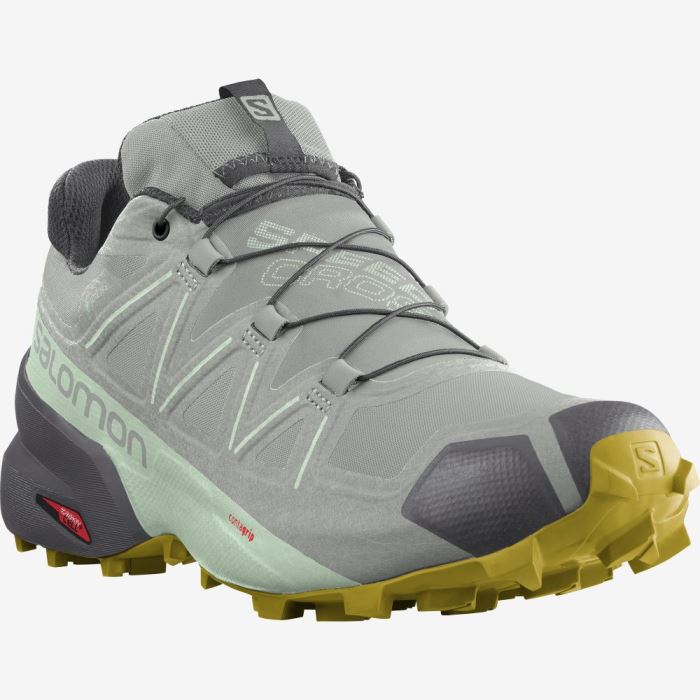 Salomon SPEEDCROSS 5 GORE-TEX Ženske Tenisice Za Trčanje Wrought Iron / Spray / Antique Moss | 4udmGtl7