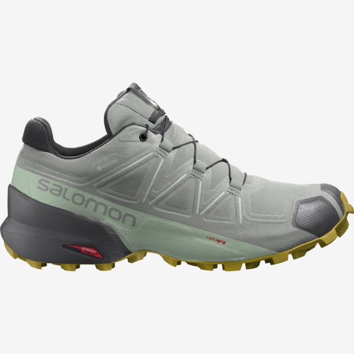 Salomon SPEEDCROSS 5 GORE-TEX Ženske Tenisice Za Trčanje Wrought Iron / Spray / Antique Moss | 4udmGtl7