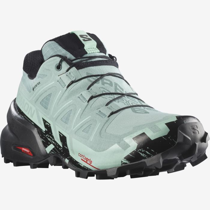 Salomon SPEEDCROSS 6 GORE-TEX Ženske Tenisice Za Trčanje Crne | 0T149SY7