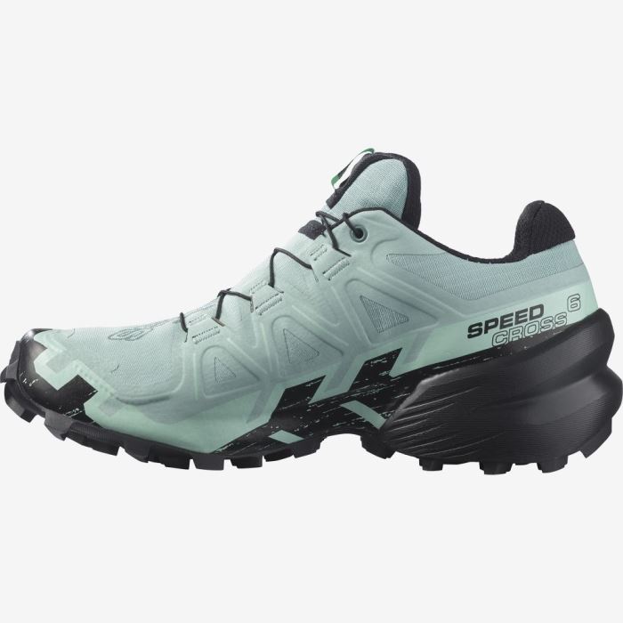 Salomon SPEEDCROSS 6 GORE-TEX Ženske Tenisice Za Trčanje Crne | 0T149SY7