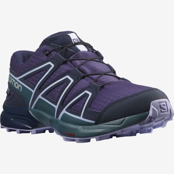 Salomon SPEEDCROSS CLIMASALOMON™ WATERPROOF Dječje Cipele Za Planinarenje Ljubičaste Plave Boje Lavande | 9ymkBZYz