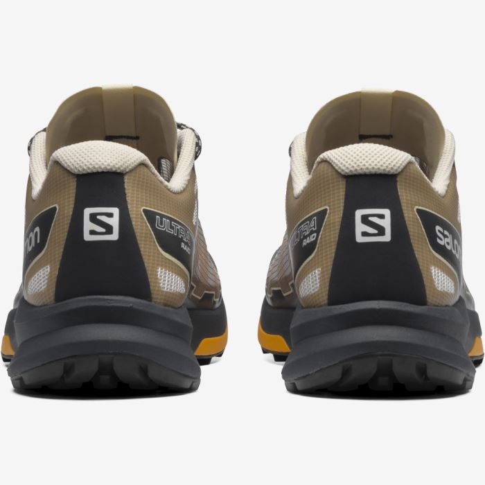 Salomon ULTRA RAID Muške Patike Ebony / Bleached Sand / Autumn Blaze | GcBcsuu1