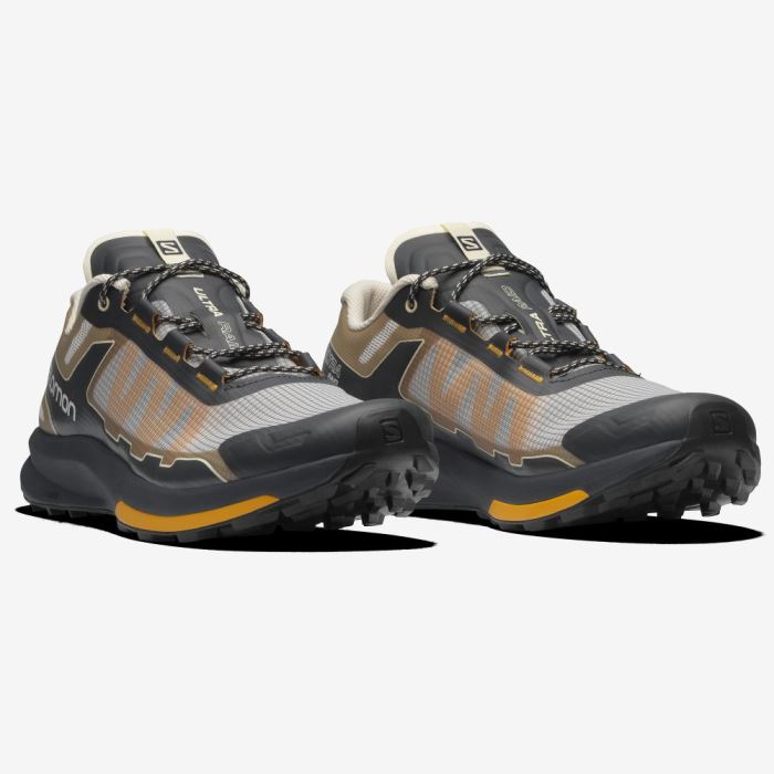 Salomon ULTRA RAID Muške Patike Ebony / Bleached Sand / Autumn Blaze | GcBcsuu1