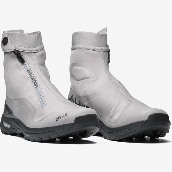 Salomon XA ALPINE 2 ADVANCED Muške Patike Gull / Phantom / Arctic Ice | ePETYFob