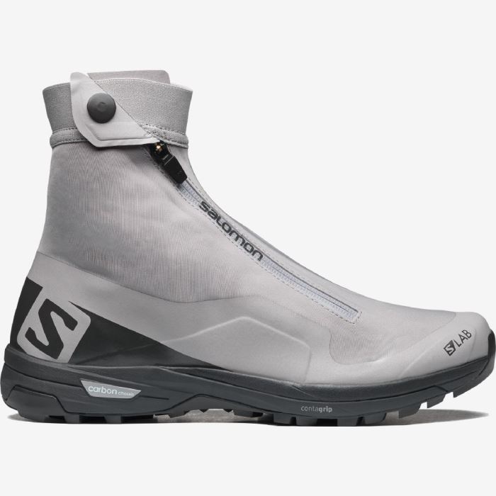 Salomon XA ALPINE 2 ADVANCED Muške Patike Gull / Phantom / Arctic Ice | ePETYFob