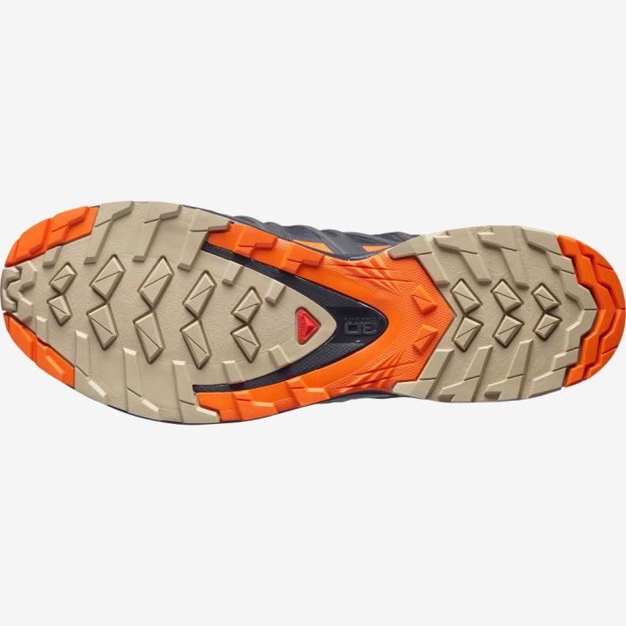 Salomon XA PRO 3D v8 GORE-TEX Muške Cipele Za Planinarenje Crvene Narančaste | O1ahTLM8