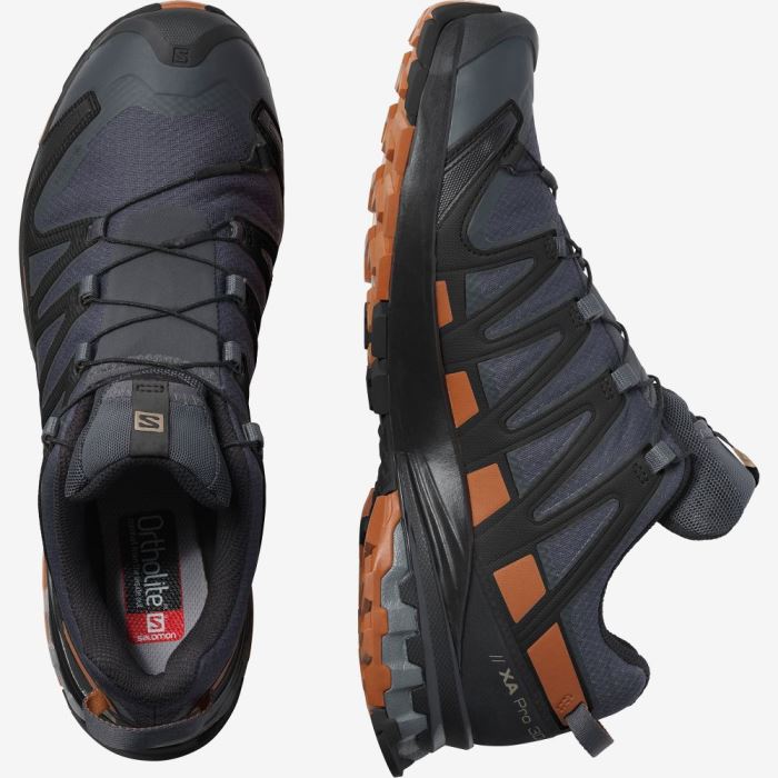 Salomon XA PRO 3D v8 GORE-TEX Muške Cipele Za Planinarenje Crne | kdVkLXL5