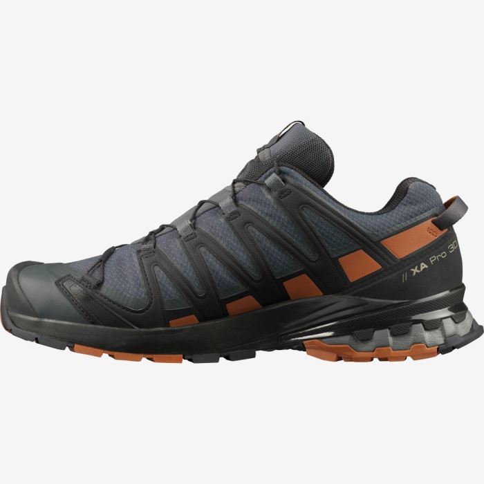 Salomon XA PRO 3D v8 GORE-TEX Muške Cipele Za Planinarenje Crne | kdVkLXL5