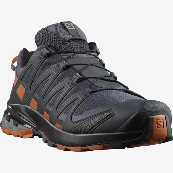 Salomon XA PRO 3D v8 GORE-TEX Muške Cipele Za Planinarenje Crne | kdVkLXL5