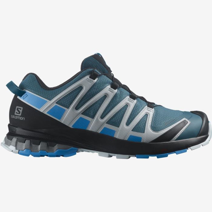 Salomon XA PRO 3D v8 GORE-TEX Muške Cipele Za Planinarenje Plave Plave | mG9VCewS