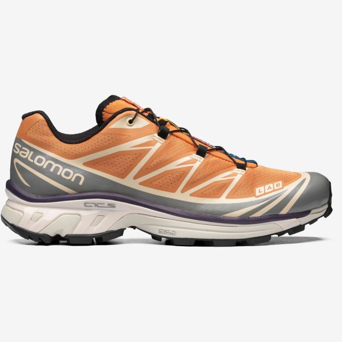 Salomon XT-6 Muške Patike Boje Marelice Sive | YXDterdo