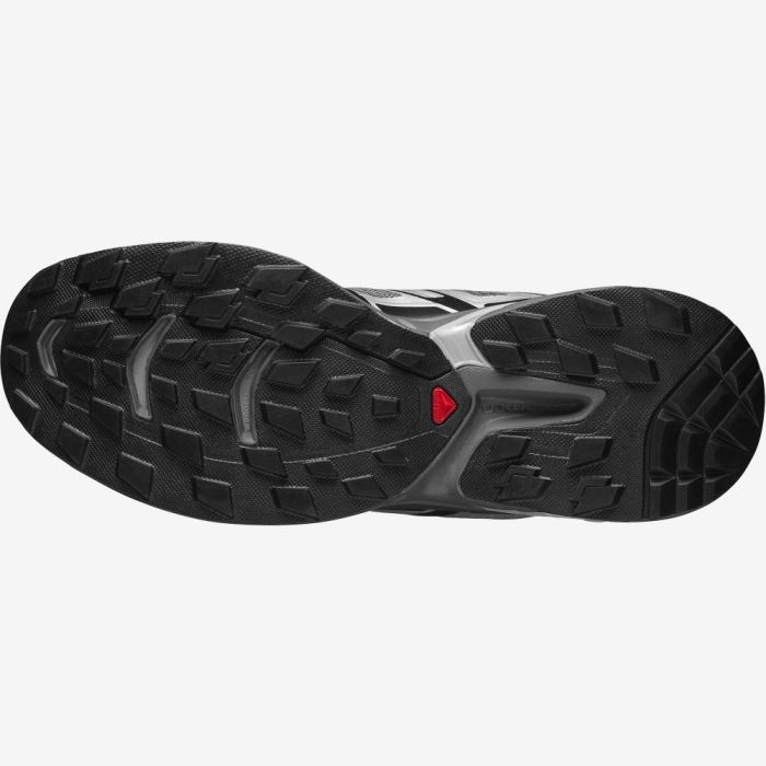 Salomon XT-WINGS 2 Muške Patike Srebrne Crne | 8LdG36Q8