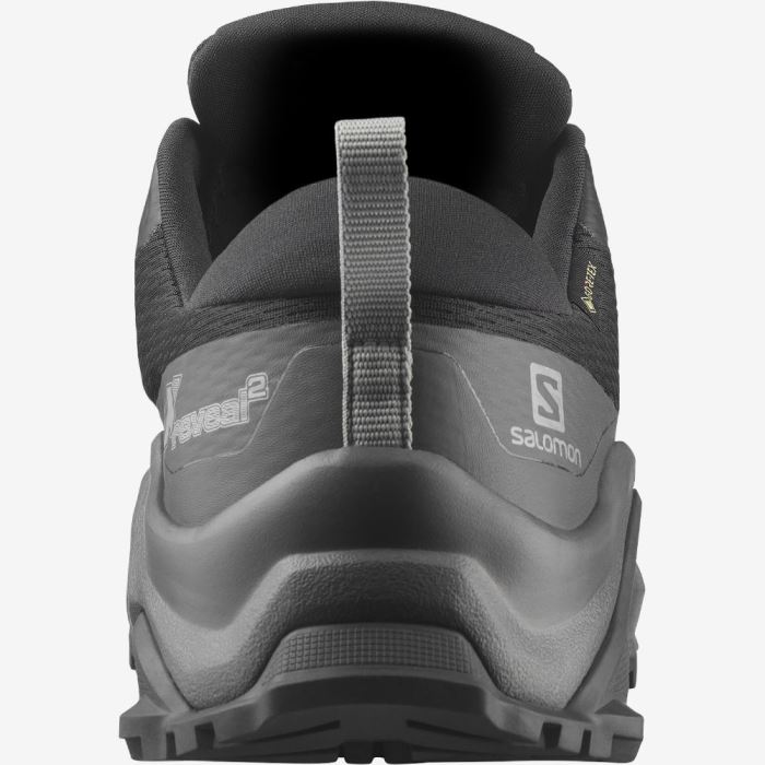 Salomon X REVEAL 2 GORE-TEX Muške Cipele Za Planinarenje Crne | Ob1noqwq