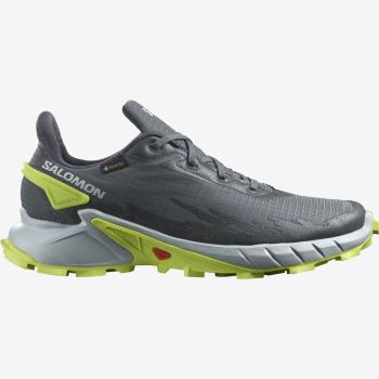 Salomon ALPHACROSS 4 GORE-TEX Muške Tenisice Za Trčanje Plave Svijetlo Zelene | hOwRJC57