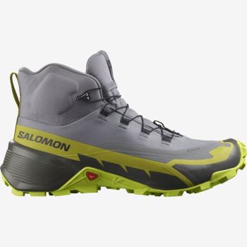 Salomon CROSS HIKE 2 MID GORE-TEX Muške Cipele Za Planinarenje Svijetlo Zelene Zlatne Svijetlo Zelene | yWrXkOql