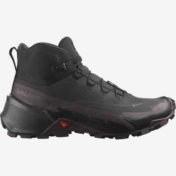 Salomon CROSS HIKE 2 MID GORE-TEX Ženske Cipele Za Planinarenje Crne Čokoladne Ljubičaste Crne | thlsQJwx