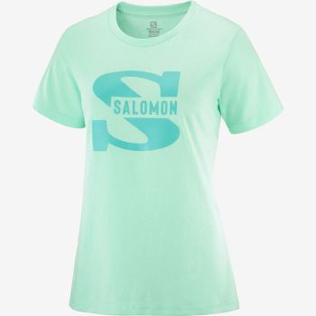 Salomon OUTLIFE BIG LOGO Ženske Majice Beach Glass | iVB0svsY