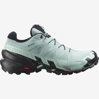 Salomon SPEEDCROSS 6 GORE-TEX Ženske Tenisice Za Trčanje Crne | 0T149SY7