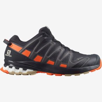 Salomon XA PRO 3D v8 GORE-TEX Muške Cipele Za Planinarenje Crvene Narančaste | O1ahTLM8