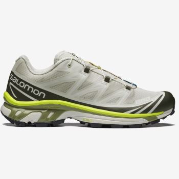 Salomon XT-6 Muške Patike Lunar Rock / Magnet / Epsom | zC0lmdrc